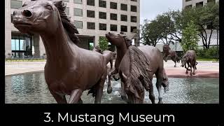 12 Best Things to Do in Irving, Texas