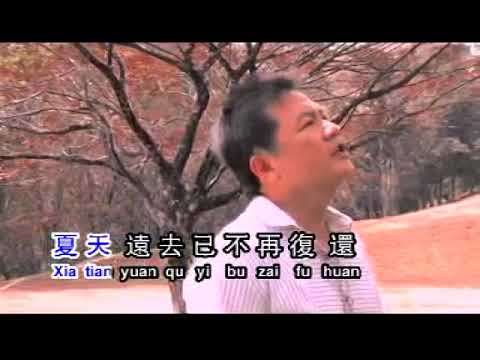 風的季節   KTV