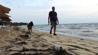 Тунис. Пластиковый 🍾 мусор в морской 🌊 воде у берегов 🌴 Северной Африки. Plastic trash.