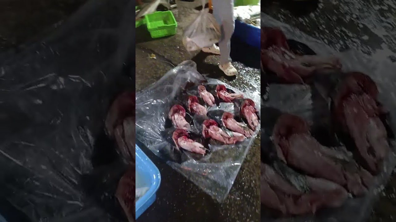 Cuộc sống mưu sinh 356 YouTube nguyên Thanh tiktokshop thanh nguyên7 shopee 