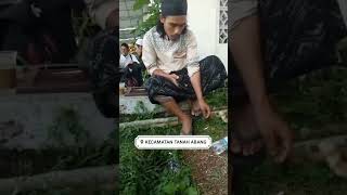 rayon jakarta pp at-tauhidiyah tegal