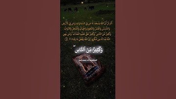 تلاوات خاشعة ياسر الدوسري وتلاوة تريح القلوب من سورة الحج#quran #ياسر_الدوسري #explore