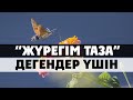 ЖҮРЕГІ, ЖАН ДҮНИЕСІ ТАЗАЛАР КӨРСІН! | БАУЫРЖАН ӘЛИҰЛЫ