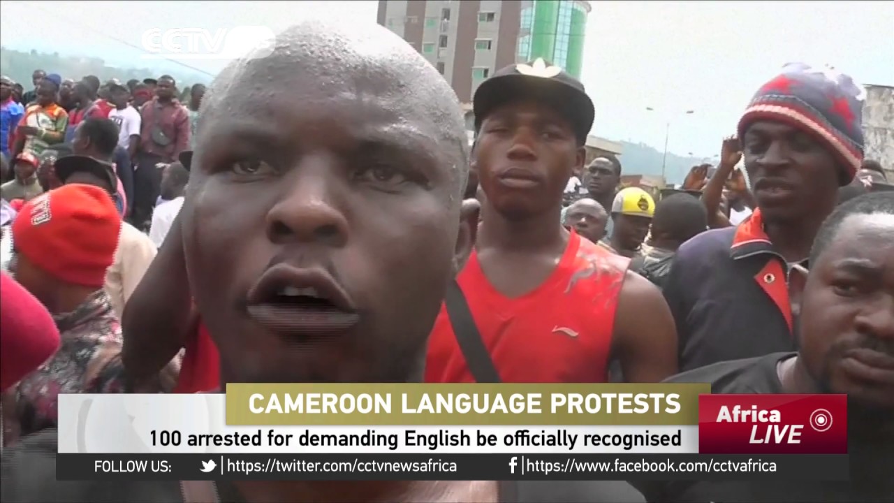 100 arrested for demanding English be officially recognised