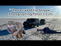 Mongolia Part 2 "The Secrets of the Steppe" Photographing rare wild cat in Mongolia