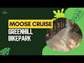 Moose cruise   greenhill bikepark