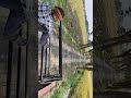 Kubota