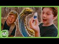 Epic Dinosaur Science Experiments &amp; Baby Dino Capture! | T-Rex Ranch Dinosaur Videos for Kids