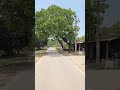 🌿Peaceful Village Life 🏡✨🚗#villagelife #nature #shorts #villagevlog #travel