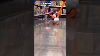 Me When I See Something I Want In Walmart
