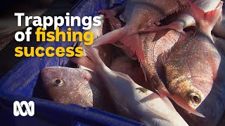 Trappings of professional trap fishing success 🐟 | Landlife | ABC Australia