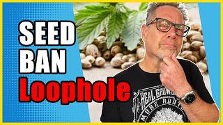 The Cannabis Seed Ban Might Have A MAJOR Legal Loophole