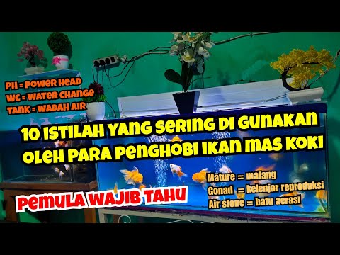 10 ISTILAH YANG SERING DIGUNAKAN OLEH PARA PENGHOBI MAS KOKI, PEMULA WAJIB TAHU