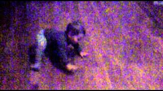 Hadidja uchitsya hodit.mp4