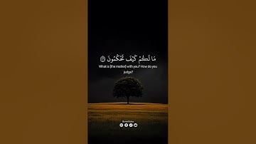 ‎قالوا سبحان ربنا إنا كنا ظالمين‎ | سورة القلم علاء عقل