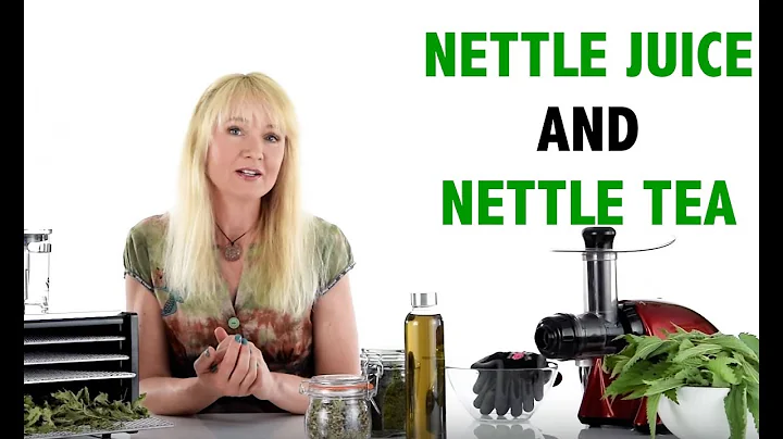 Nettle juice and nettle tea