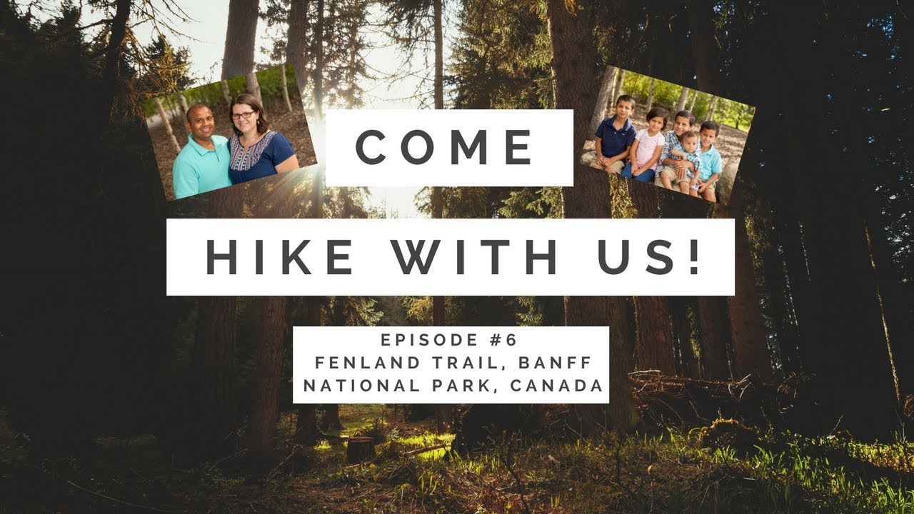 Come Hike With Us! Fenland Trail, Banff National Park Plus Playing in ...