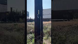 5/2/2025: BNSF 6855, 5175, 7411, 7301 pull Northbound Double Stack Train in West Colton, CA