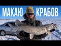 ЩУКА НА КРАБА | зимняя рыбалка на Амуре в феврале