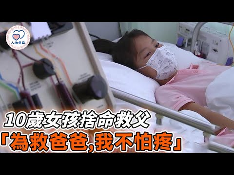 10歲女孩捨命捐骨髓「為救爸爸，我不怕疼」與白血病爸爸對話看哭千萬人！#暖心 #暖心故事 #正能量 #善舉 #励志 #社會新聞 #人物焦點