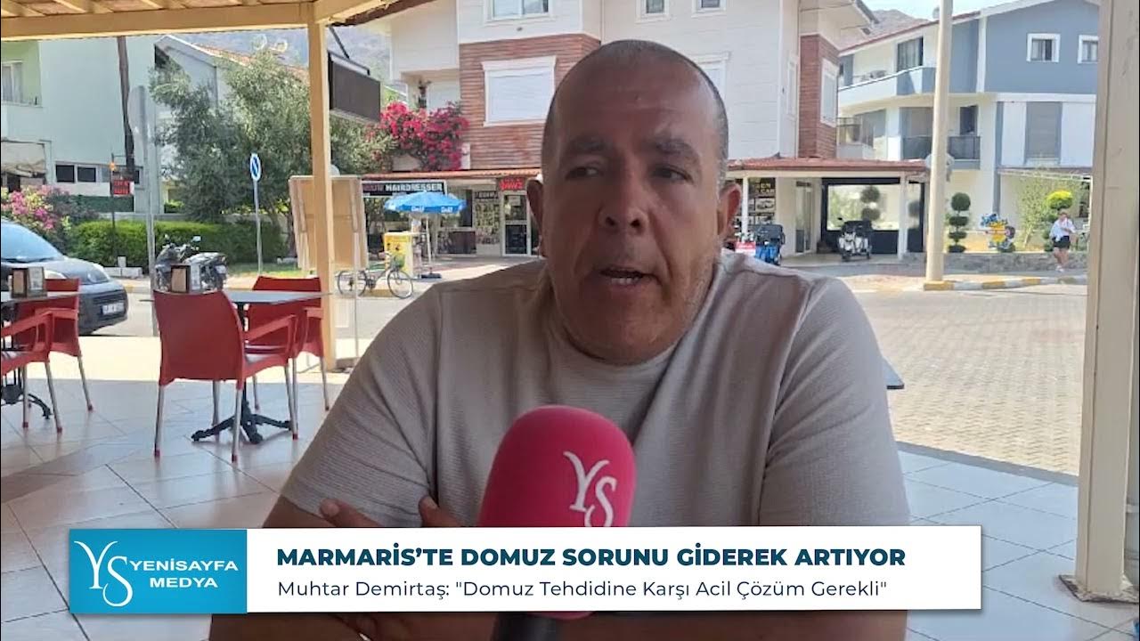 MARMARİS’TE DOMUZ SORUNU GİDEREK ARTIYOR