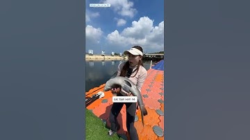 gái xinh đi xin mồi câu của 2 ông bà già được ông cho chút vở cam làm mồi câu và cái kết  #fishing