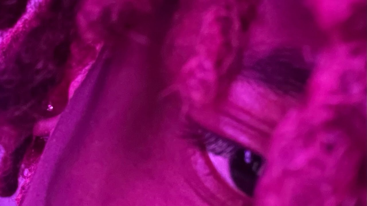 lñk! - died to live (prod. 22snow!)