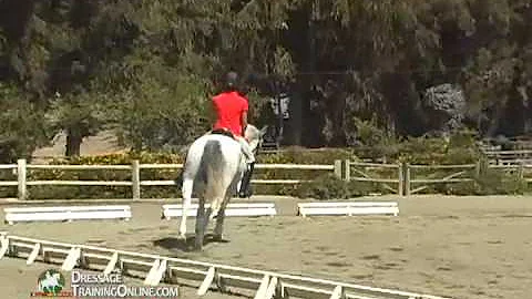 Suzanne von Dietze teaching proper seat and position
