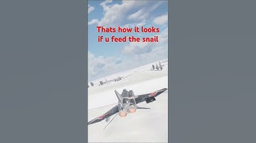 Feed the snail AnD p(r)ay #warthunder #funwarthunder #memes