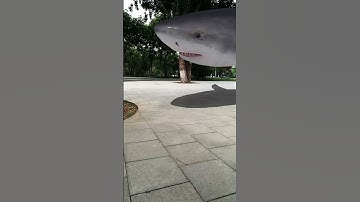 Shark swimming in the square 🤯 3D Special Effects | 3D Animation | VFX #shorts