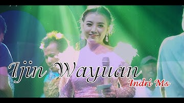 INDRI MS II IJIN WAYUAN II LIVE NEW FORTUNA