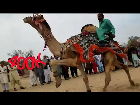          جلال چانڊيئي جو انتظار