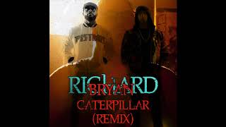 Caterpillar(Remix) - Bryan Richard