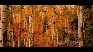 Haiku poems - assignment from creative writing and short story course