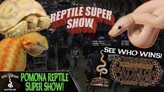 POMONA REPTILE SUPER SHOW! (January, 2019)