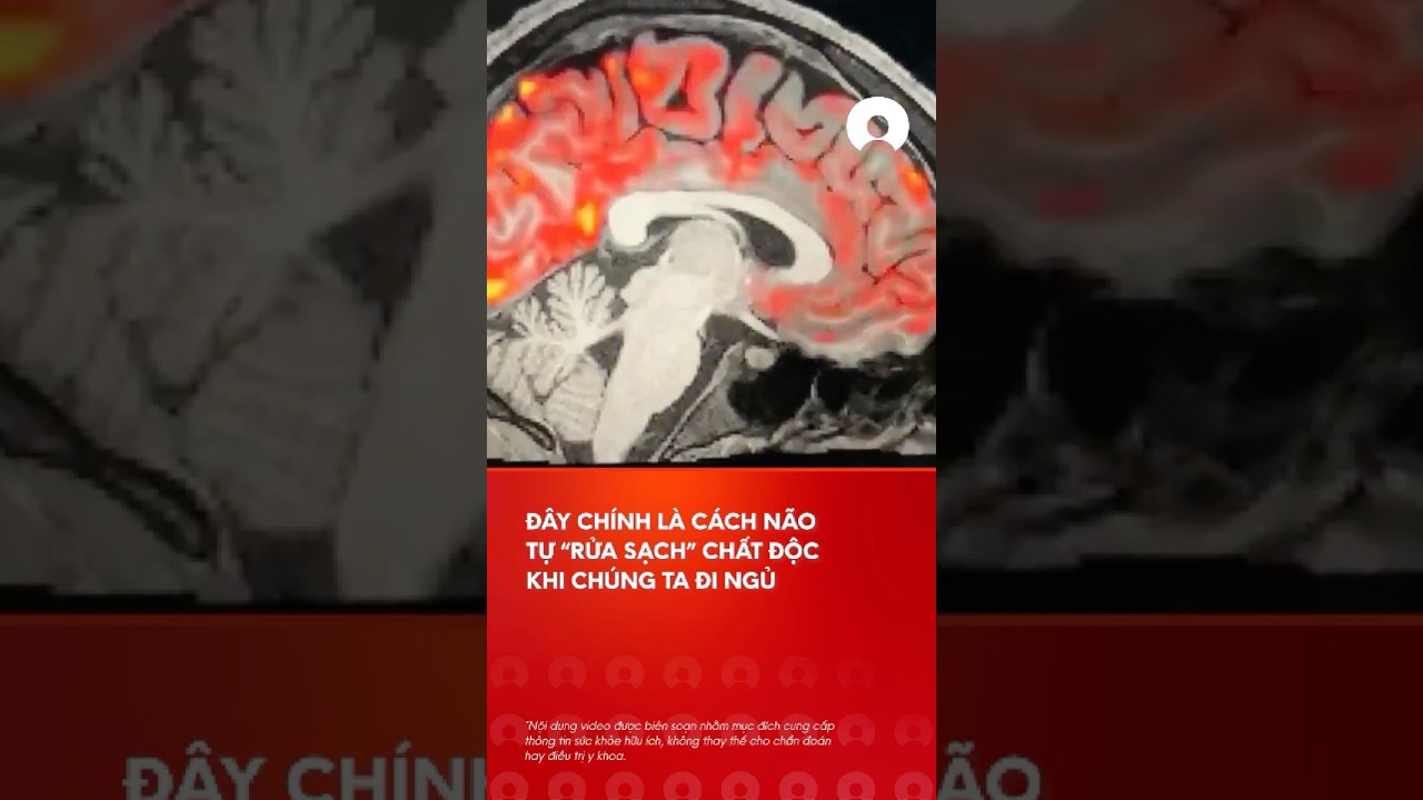 NÃ£o bá»™ sáº½ tá»± "rá»­a sáº¡ch" chÃ­nh nÃ³ khi chÃºng ta Ä‘i ngá»§ #brain #science