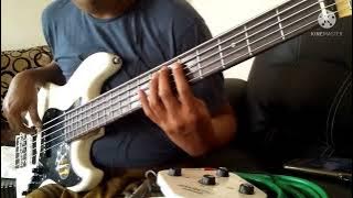 BASSCOVER HONEY - SHAGGY DOG