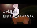 近代五種コシーズ　ひとりで、五つ 編