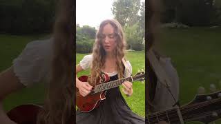 This is what a mandola sounds like 🕊️ #shorts #mandolin #mandola #irishmusic