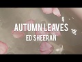 【Lyrics 和訳】Autumn leaves - Ed Sheeran