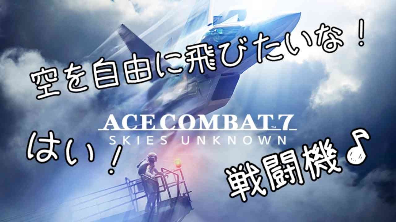 【ACE COMBAT™ 7: SKIES UNKNOWN】対戦者、指示厨、歴戦の猛者求む！！　steam版