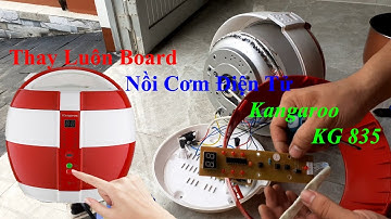 cái nồi cơm hư hỏng Kangaroo KG835 này tôi sửa nó vầy nhé | Kênh Điện Độc Đáo - Trần Chiến
