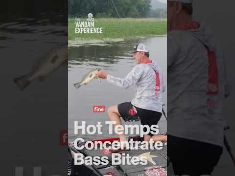 Warm temps mean concentrating bass when #fishing #fish #fishingvideo @bassproshops @StrikeKingLure