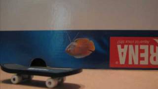Tech Deck Stopmotion