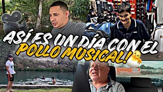 ASÍ ES UN DIA CON EL POLLO MUSICAL (CONEJO TOYS)