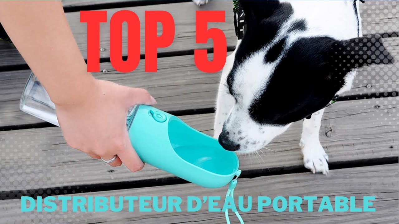 Les 5 Meilleurs Distributeurs d'Eau Portable pour Chiens YouTube — free download