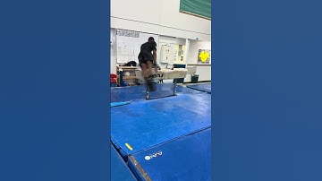 NAIGC Allowable Skills - Pommel Horse - Russian travel from end to far pommel