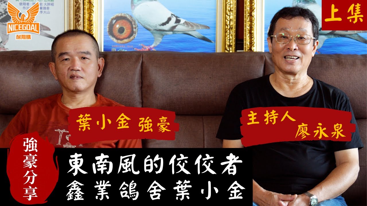 【強豪分享】東南風的佼佼者，鑫業鴿舍葉小金(上集) ｜耐翔購