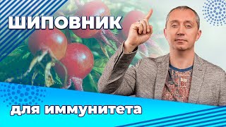 Как использовать шиповник во время пандемии? Профилактика и лечение простуды!