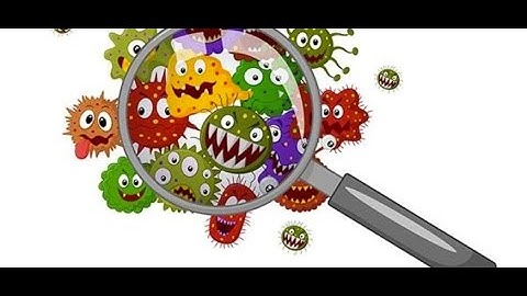 Identification of unknown bacteria by morphological and biochemical methods.